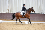 SBM_001339
