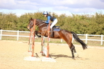 SBM_002361