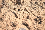 240912A-093113-00170