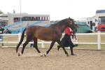 SBM_07634