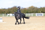 SBM_001039