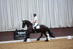 SBM_020310