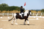 SBM_011573