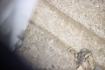 SBM_004846