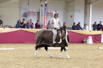 SBM_09659