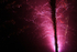 Westonbirt _WB035