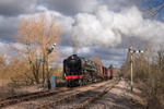 The Express Freight