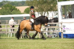 SBM_07668