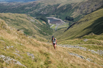 Hartsop Hop-416