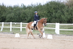 SBM_016770