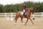 SBM_011786