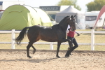 SBM_06859