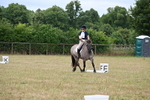WJ6_1229