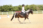SBM_008586
