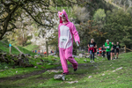 Dovedale Dash-2111