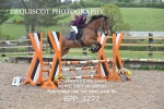 BPP_3277