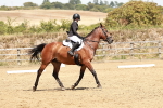 SBM_003551