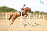 SBM_000962