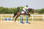 SBM_000385