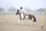 SBM_001073