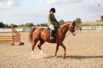 SBM_06878