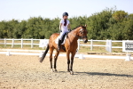 SBM_006817