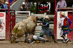 _DSC7974