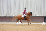 SBM_002646