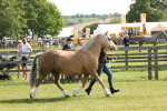 SBM_02050