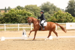 SBM_005433