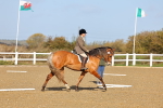 SBM_000401