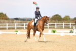 SBM_013790
