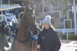 251025-Race 5-Loriko-9259