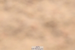 250621-110919-08163