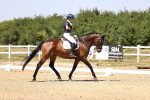 SBM_004808