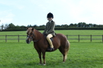 SBM_52007