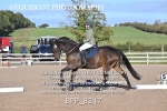 BPP_8247