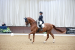 SBM_010195