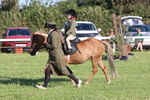JPP_0765