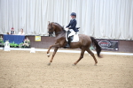 SBM_003947