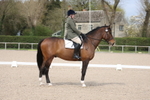 Unaffiliated Dressage portfolio