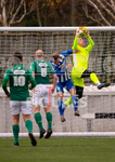 GFC v Chertsey Town-2