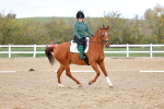 SBM_002591