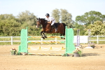 SBM_005574