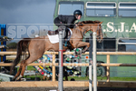 Junior Showjumping_10-11-2019-1