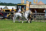 SBM_05886