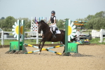 SBM_011338