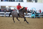 SBM_004577