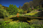 Mt. Lofty Lake1-0226