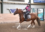 JAC_1282